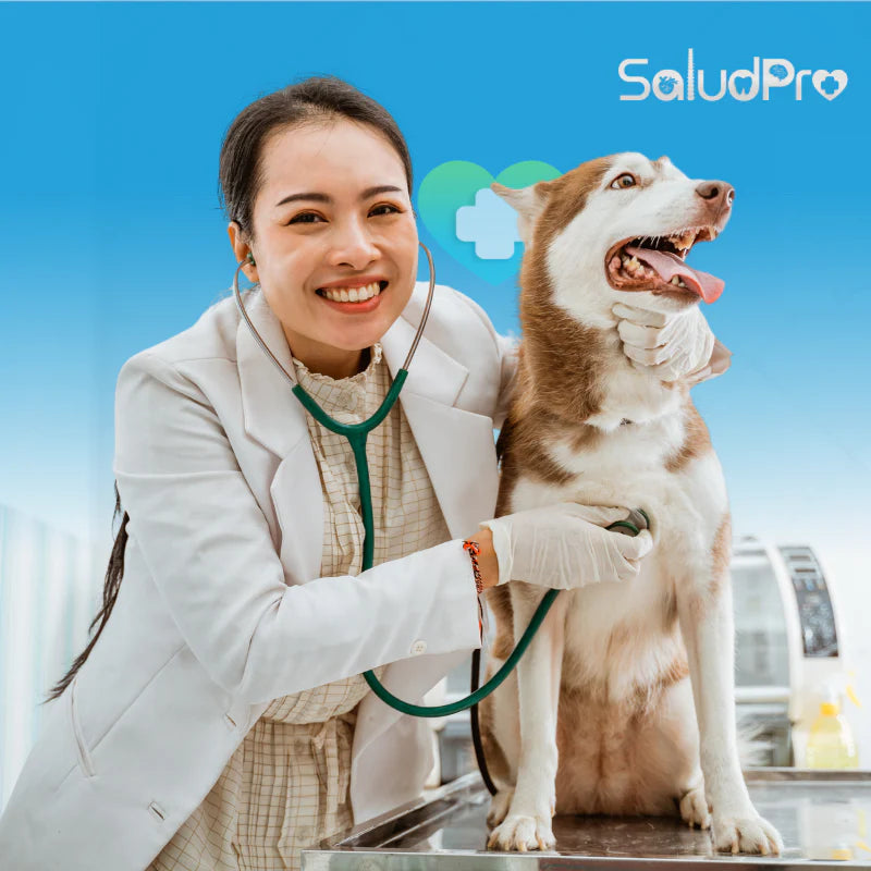 Veterinaria